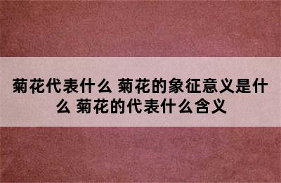 菊花代表什么 菊花的象征意义是什么 菊花的代表什么含义